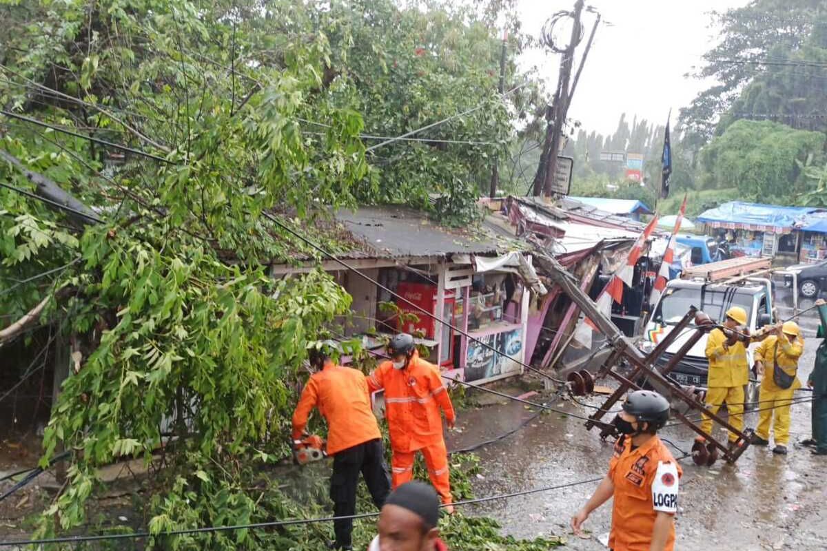 Sebuah pohon dan tiang listrik di Kampung Jembatan Dua, Kelurahan Karang Asem Barat, Kecamatan Citeureup, Kabupaten Bogor, Jawa Barat, tumbang diterjang angin kencang pada Sabtu (5/3/2022) sore.