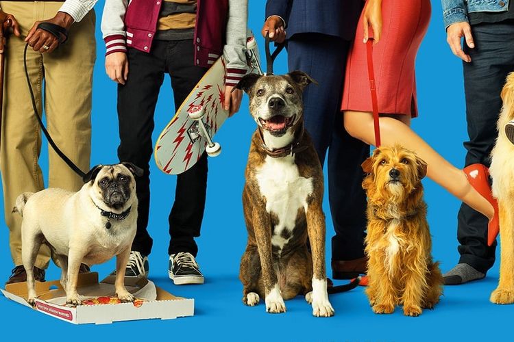 Dog Days tayang di Hulu.