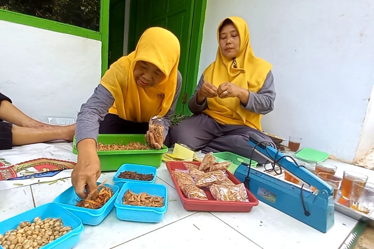 Desa Pelutan, Kecamatan Gebang adalah salah satu desa di Kabupaten Purworejo Jawa Tengah yang banyak menghasilkan rempah-rempah. Berjarak sekitar 10 kilometer dari pusat kota Purworejo, desa ini mudah diakses karena jalan menuju desa sudah diaspal.