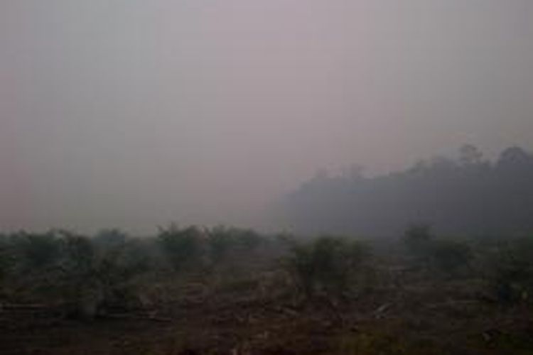 Lahan terbakar di Kabupaten Kapuas, 110 Km dari Palangkaraya, Kalteng, ini hanya hamparan  hitam akibat hangus dimakan api. 