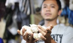 Harga Bawang Putih dan Bombai Naik, Kemendag Bebaskan Sementara Izin Impor Keduanya 
