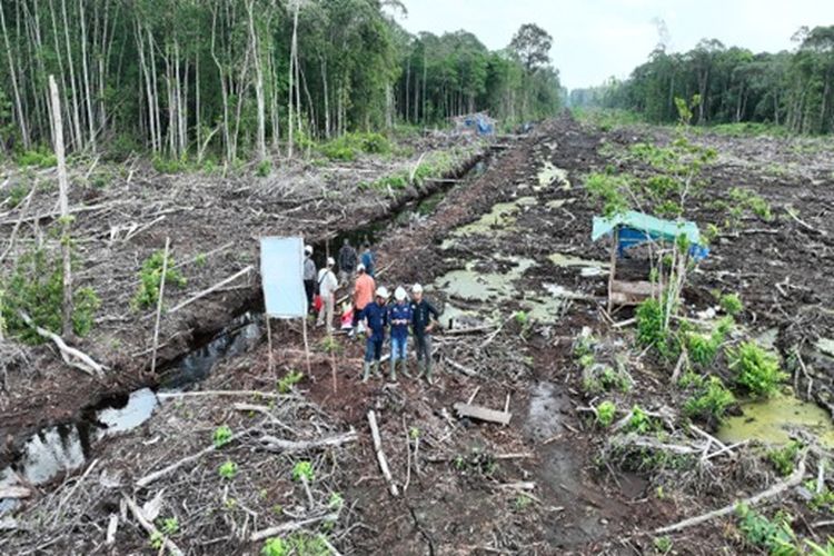 80 hektare lahan di hutan produksi kawasan Sumsel kebakaran. 