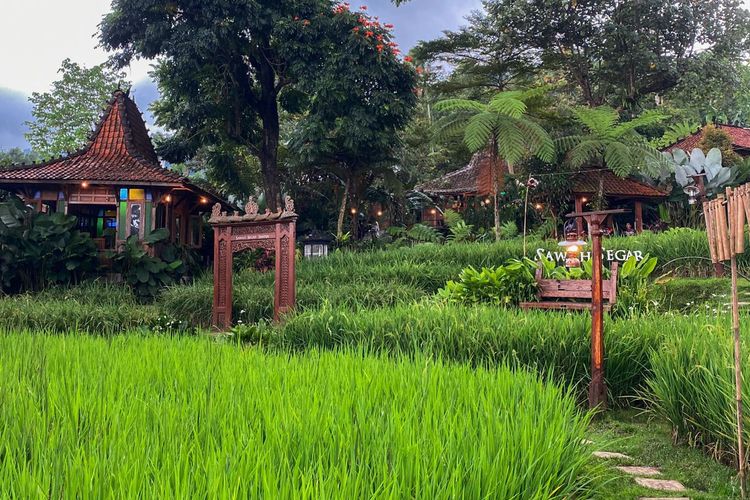 Wisata Kuliner di Sawah Segar Resto & Nursery