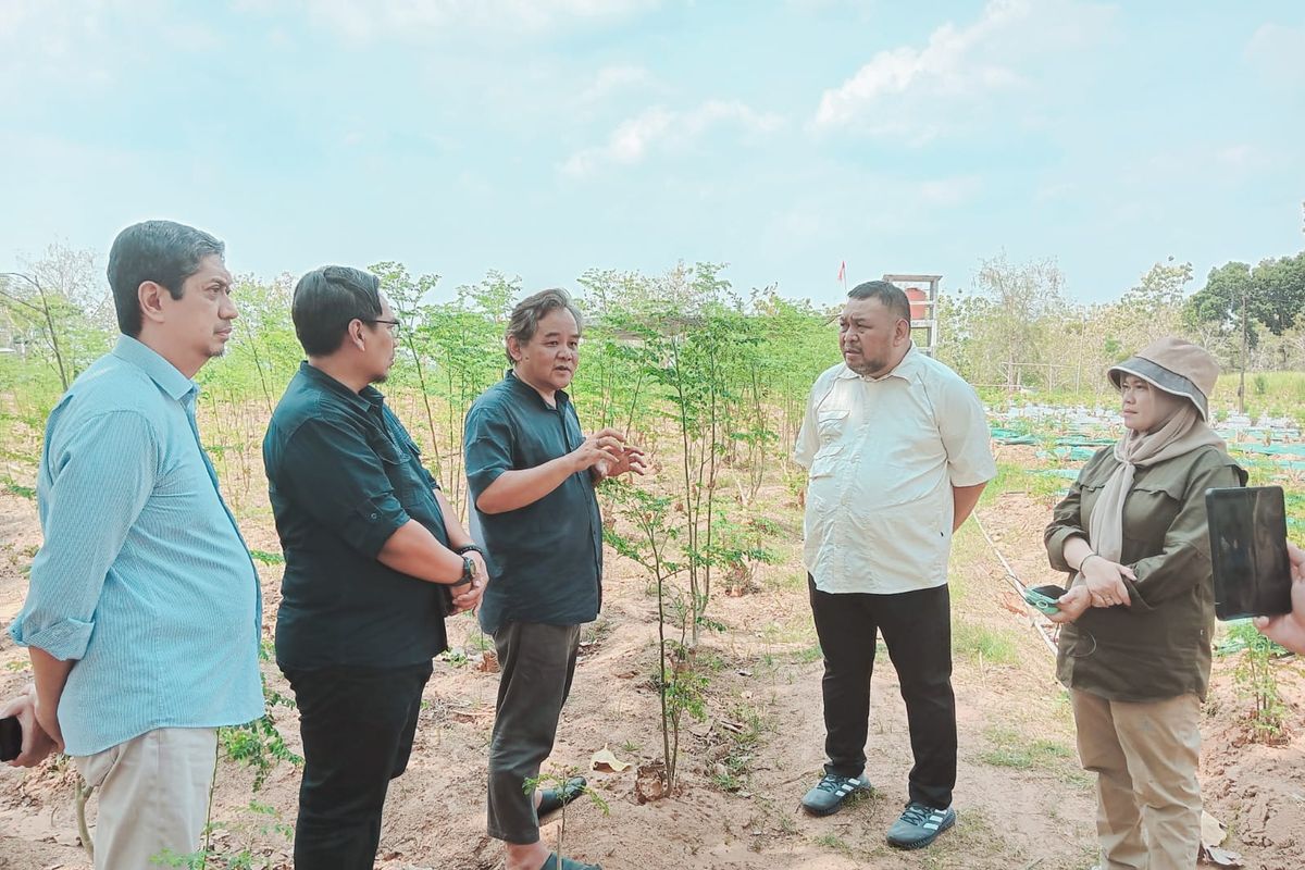 Kementan kunjungi perusahaan kelor PT MOI di Blora Jawa Tengah