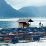 Di Balik Keindahan Danau Maninjau Sumbar, Ada Cerita Legenda Bujang Sambilan jadi Ikan, hingga Misteri Ratusan Ton Ikan Mati