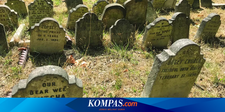Makam Hewan Ungkap Evolusi Relasi Manusia dengan Peliharaannya