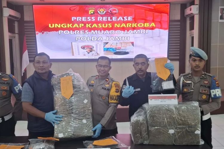 Ganja 30,8 Kg Asal Sumut Hendak Diedarkan di Jambi Digagalkan Polisi