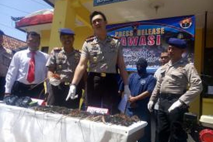 Selain mengamankan tiga nelayan, polisi juga mengamankan lima kilogram lobster jenis pasir yang ditangkap dengan menggunakan bahan kimia.