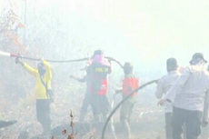 TNI Kirim Ratusan Prajurit Bantu Atasi Kebakaran Hutan di Pekanbaru