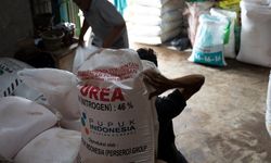 Kementan akan Tindak Tegas Distributor dan Penyalur Pupuk Bersubsidi yang Curang 