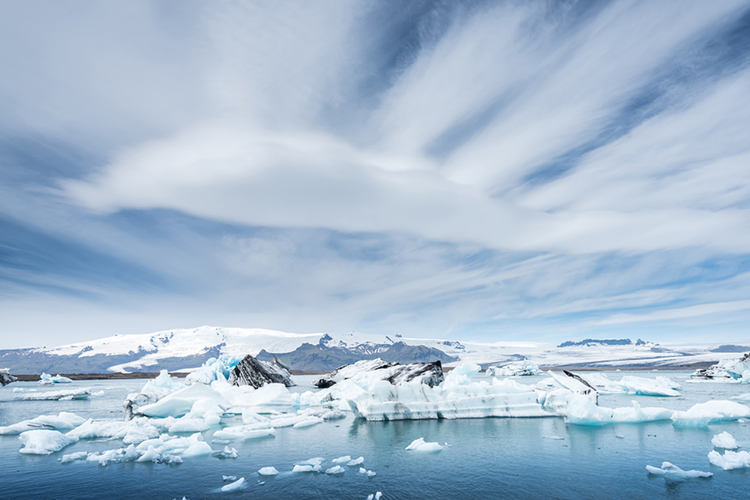 Virus Raksasa di Greenland Jadi Kunci Kurangi Pencairan Es Global