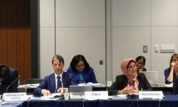 Di Forum G-20, Indonesia Beberkan Upaya Atasi Kesenjangan Gender