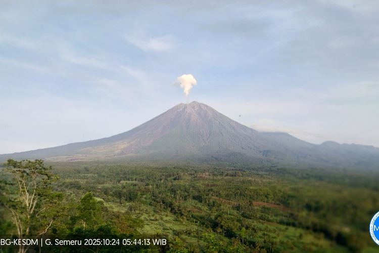 Visual erupsi Gunung Semeru dengan letusan setinggi 700 meter, Jumat (24/10/2025).