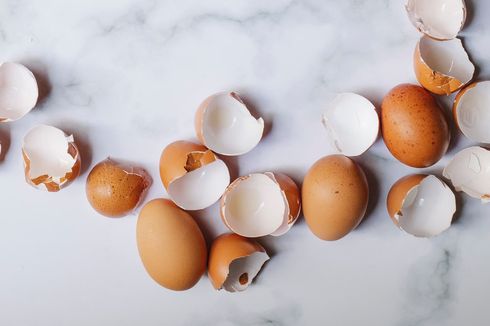 Jarang Diketahui, Ini 4 Manfaat Konsumsi Cangkang Telur 