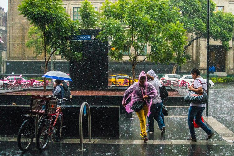 BMKG Peringatan Hujan Lebat dan Angin Kencang Besok 2 Agustus 2026, Ini Wilayahnya