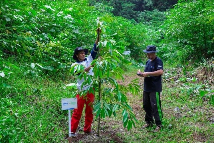 Program Grow & Green di Kampung Tanjung Prepat. 