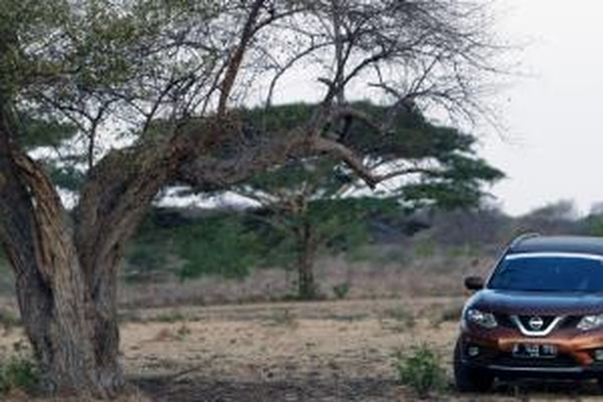All-New Nissan X-Trail di Taman Nasional Baluran.