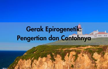 Gerak Epirogenetik: Pengertian dan Contohnya