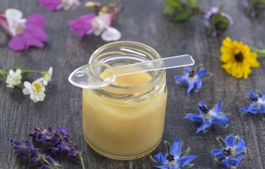 4 Manfaat Kesehatan Royal Jelly, Termasuk Menurunkan Kolesterol Lho