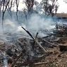 Bakar Sampah, Kandang Sepanjang 150 Meter Ikut Hangus, 1 Orang Tewas
