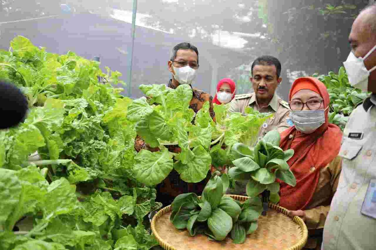 Penjabat Gubernur DKI Jakarta Heru Budi Hartono meminta agar pasar-pasar di Jakarta Timur dipercantik. Keinginan itu diungkapkan Heru saat mengunjungi Kantor Wali Kota Jakarta Timur, Senin (28/11/2022) pagi. Ia turut didampingi Wali Kota Jakarta Timur M Anwar.