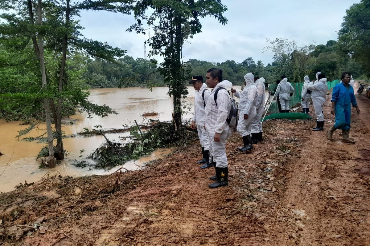 5 Buaya Lepas dari Penangkaran di Batam, Nelayan Diminta Waspada Saat Melaut