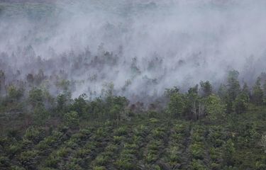 Pemko Palangka Raya Tetapkan Status Siaga Karhutla, Ini Langkah Antisipasinya