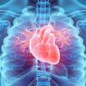 10 Tanda-tanda Awal Penyakit Jantung yang Perlu Diwaspadai