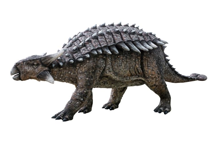 Ankylosaurus