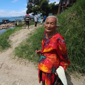 Hakim Pengadilan Negeri Balige, Kabupaten Toba Samosir, Sumater Utara menjatuhi hukuman penjara 1 bulan 14 hari kepada Saulina boru Sitorus (92 tahun) alias Ompung Linda. Pasca-vonis, Ompung Linda didampingi kuasa hukumnya, Boy Raja Marpaung, mengajukan banding. Oleh karena itu, dia masih harus pulang pergi ke Balige, seperti pada Rabu (31/1/2018).