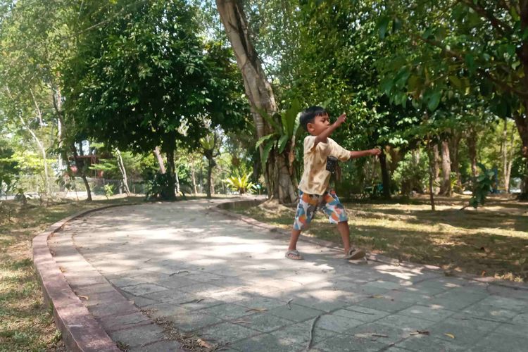 Wisata ke Taman Bukit Baru Pangkalpinang, Bisa Ajak Anak Mengenal Pohon