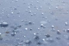 Pemerintah Minta Percepat Pencarian Korban Tenggelam Kapal Wisata di Labuan Bajo