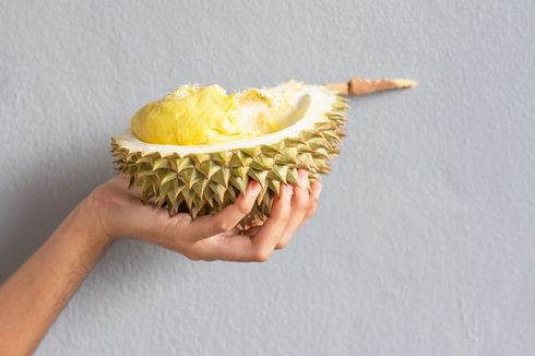 Makan Durian Bisa Bikin Mabuk, Benarkah?