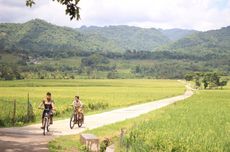 Keliling Hamparan Persawahan di Menoreh View, Ini Harga Sewa Sepeda hingga ATV 