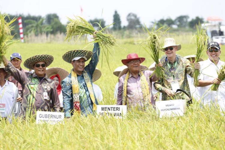 (Dari kiri ke kanan) Gubernur Kalimantan Selatan Sahbirin Noor, Menteri Pertanian Amran Sulaiman, Menko Perekonomian Darmin Nasution, Perwakilan FAO untuk Indonesia Stephen Rugards saat membuka Hari Pangan Sedunia (HPS) ke-38 tahun 2018 di Desa Jejangkit Muara, Barito Kuala, Kalimantan Selatan, Kamis (18/10/2018)