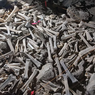 Ribuan Tulang Ditemukan di Sarang Hyena, Beberapa Milik Manusia