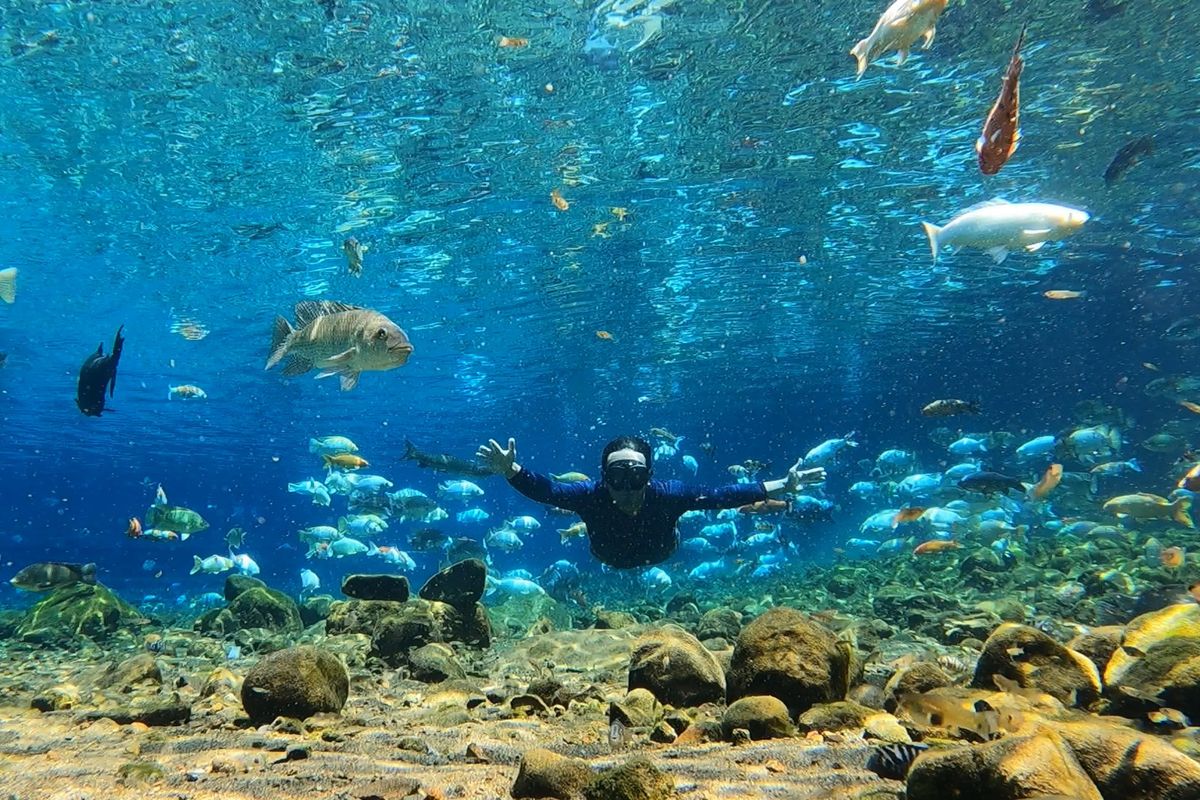 Belajar snorkeling dan menyelam di Umbul Ponggok Klaten.