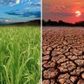 Suhu Bumi Diprediksi Lampai Batas Kritis dalam 5 Tahun