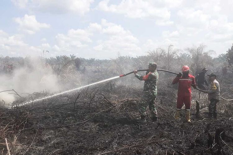 Petugas gabungan memadamkan api karhutla di Desa Pauh, Kecamatan Bonai Darussalam, Kabupaten Rokan Hulu, Riau, Sabtu(4/6/2022).