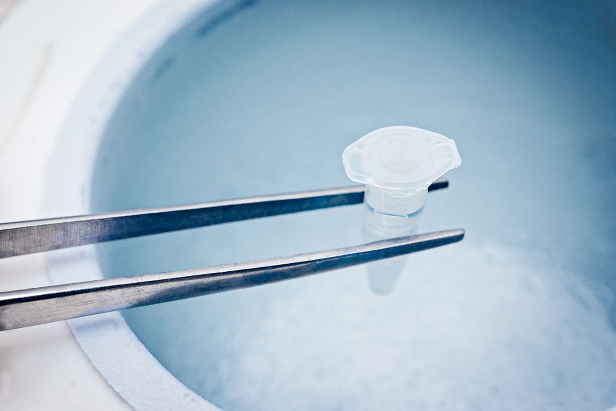Ilustrasi apa itu egg freezing?
