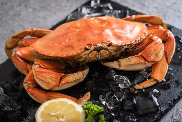 Apa Itu Dungeness Crab, Bahan Masakan di Pressure Test MasterChef?