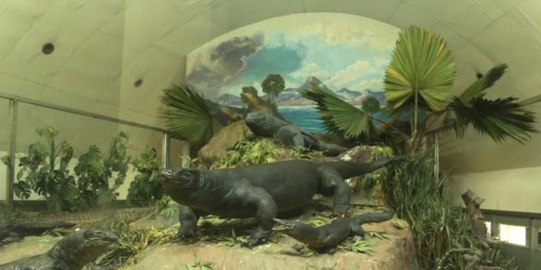 6400 Gambar Dan Nama Hewan Reptil HD Terbaru