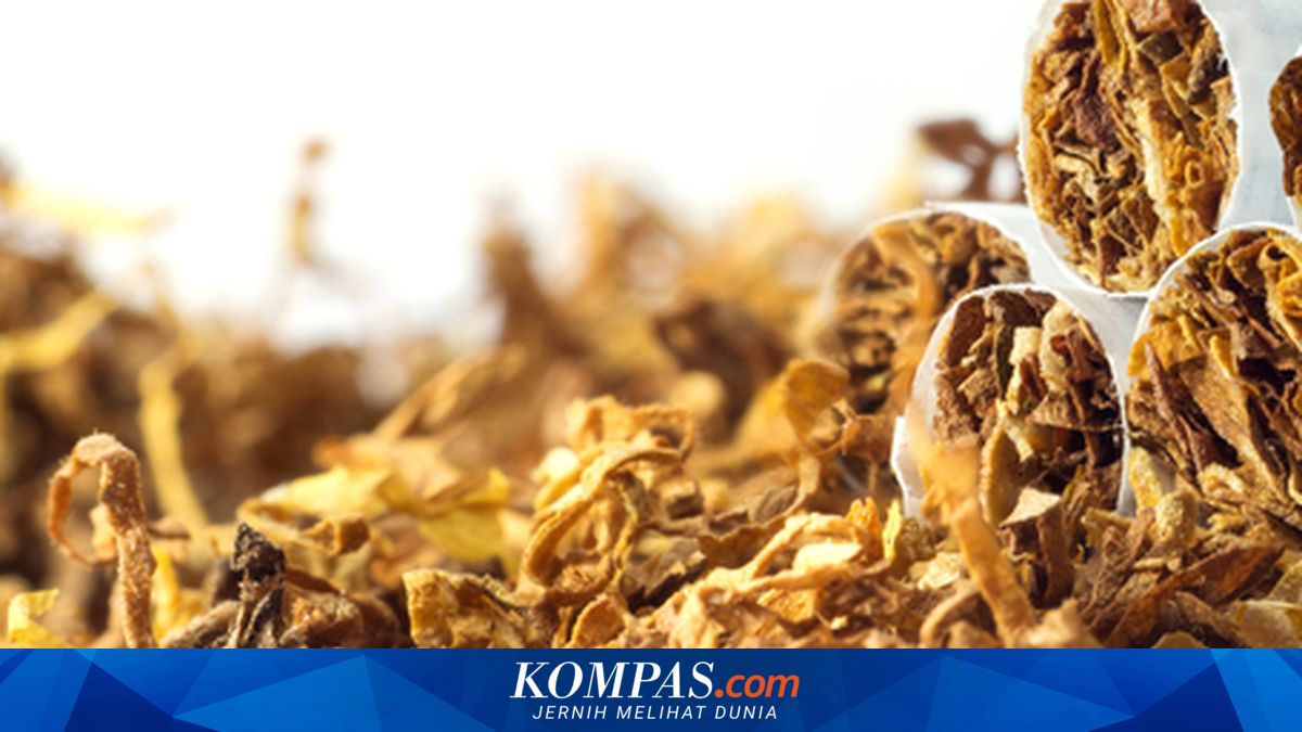 Komisi XI DPR Minta Pemerintah Perhatikan Efek Simplifikasi Tarif Cukai ...