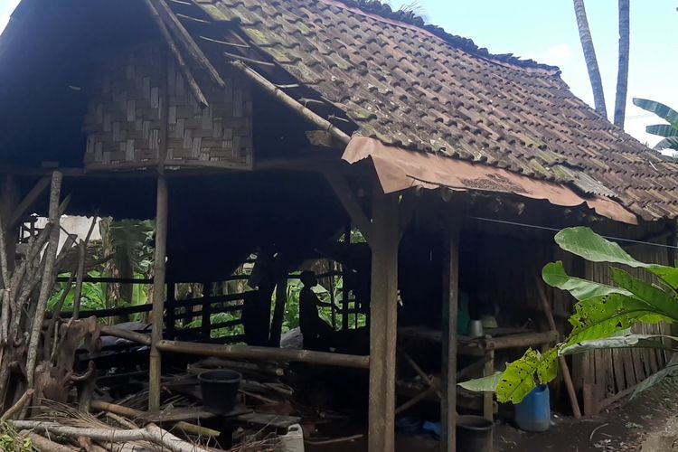 Rumah gubuk yang ditinggali oleh ayah dan anak