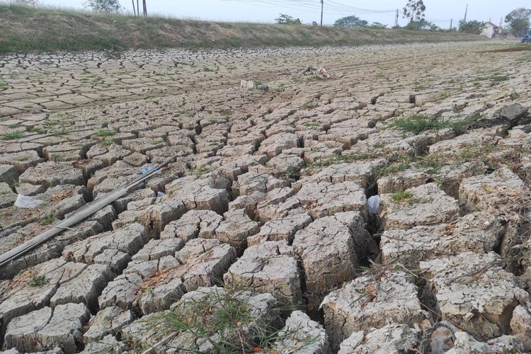 Potret Kemarau di Demak, Sungai Mengering Retak-retak dan Ribuan Warga Krisis Air Bersih