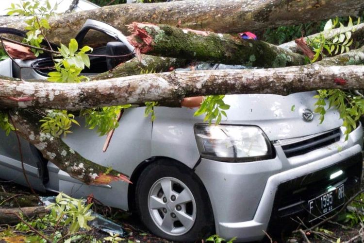 Sebuah kendaraan minibus yang tengah melintas di ruas jalan raya Cugenang, Cianjur, Jawa Barat ringsek akibat tertimpa pohon jenis Mahoni yang tumbang ke jalan, Sabtu (21/12/2019) petang