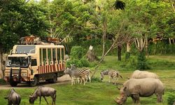 Taman Safari Indonesia Siap Dukung Transformasi Kebun Binatang Bandung