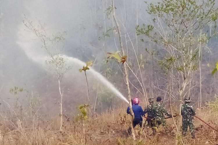 Api Karhutla Nyaris Bakar Pemukiman di Polman, Jaraknya Sisa 10 Meter