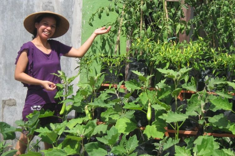 Melihat langsung pertanian di Yogyakarta, Pelapor Khusus PBB Hilal Ever merasa tidak ada alasan lagi tidak berhenti bertani karena keterbatasan lahan.