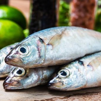 Ilustrasi ikan segar. Ikan laut dan ikan tawar sama-sama mengandung omega-3 yang baik untuk kesehatan; simak perbedaan manfaatnya dan cara mengombinasikannya untuk hasil optimal.